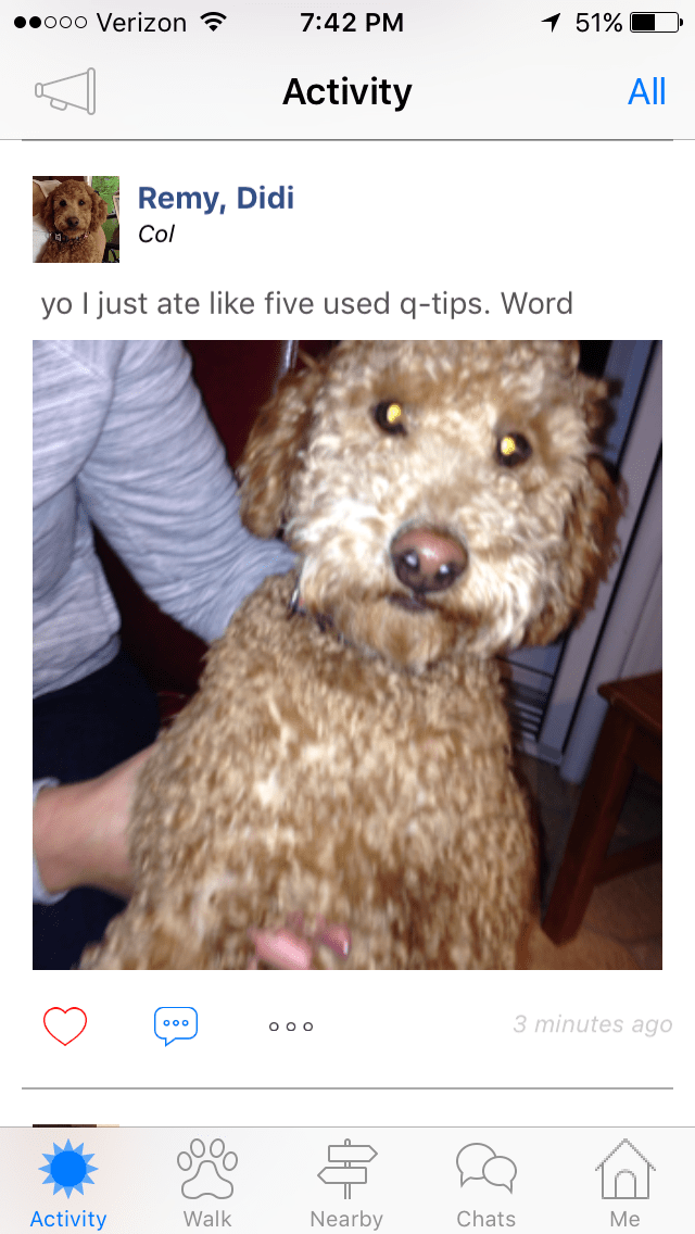 Can I Meet My Dog If I Have Covid at Joey Nero blog