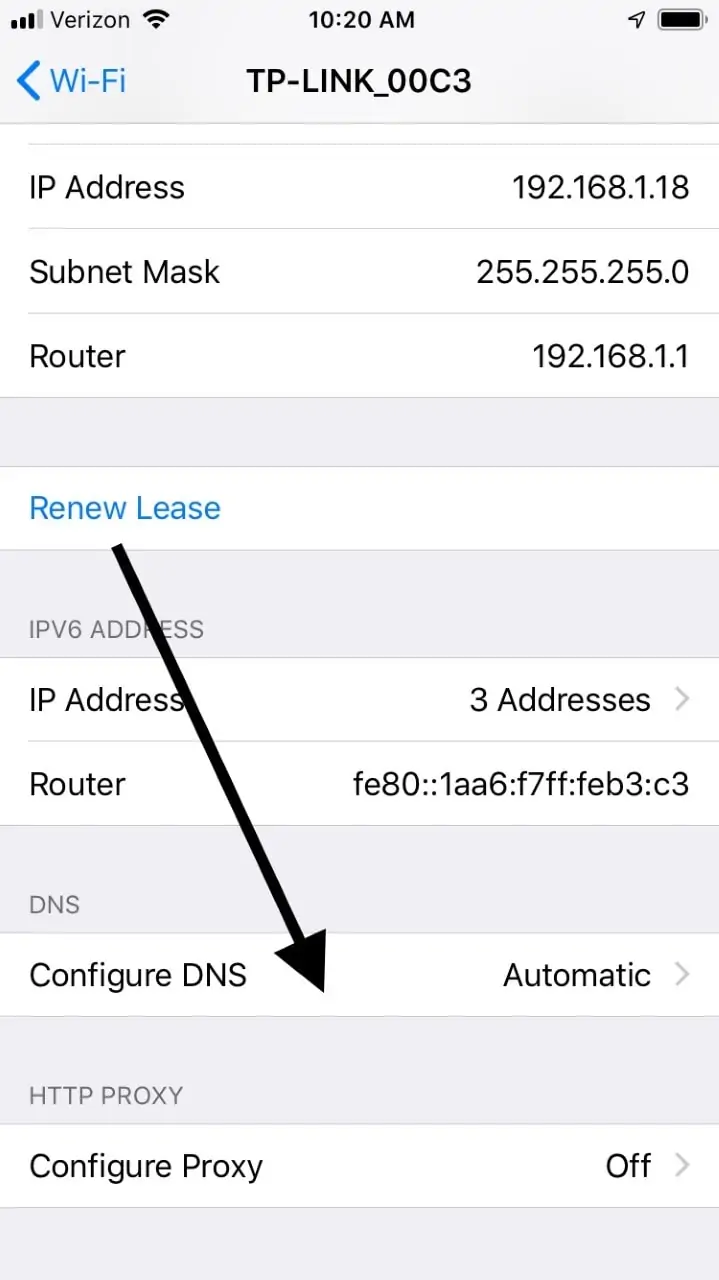 iPhone Configure DNS