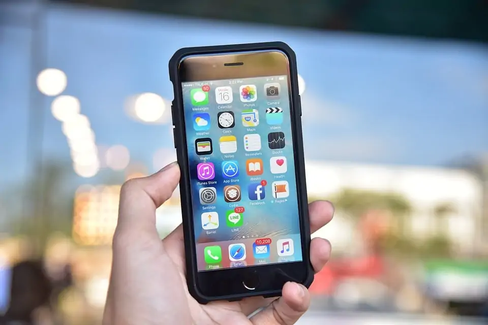 iPhone in a Case 
