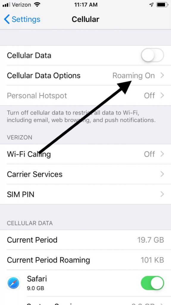 Cellular Data Roaming if My iPhone Says Searching