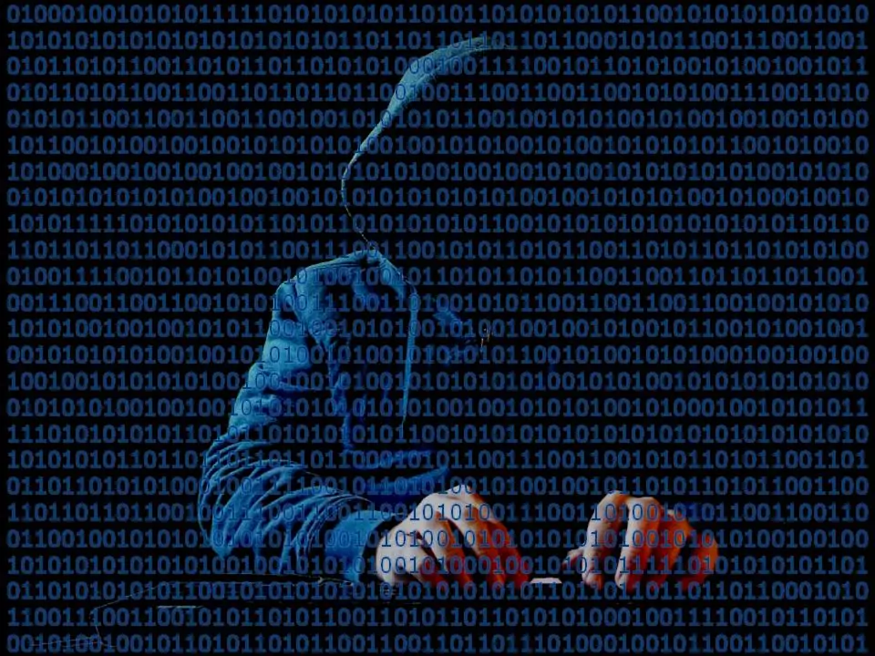 Take Precautions Against iPhone Hackers