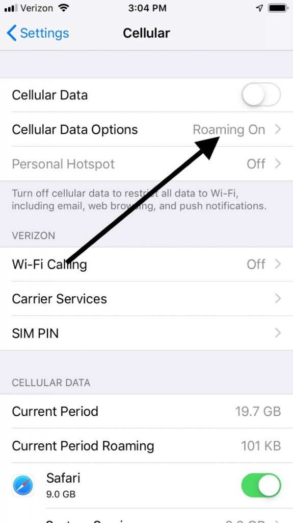 iphone cellular data for no service message