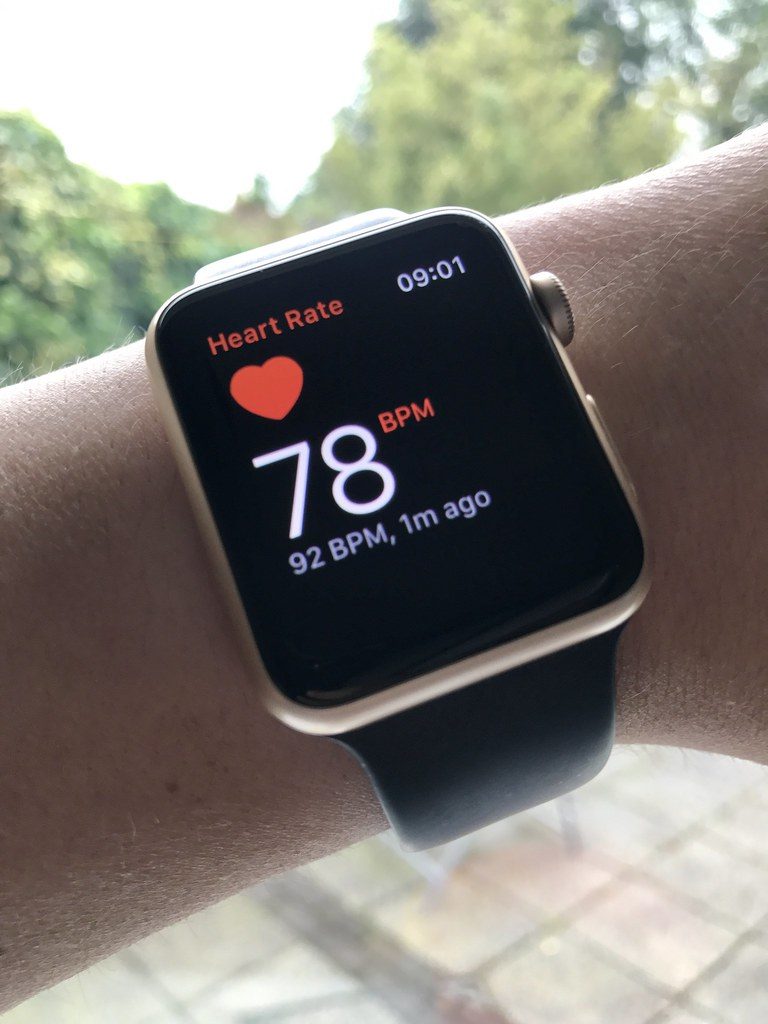 Apple Watch Heart Rate Monitor 